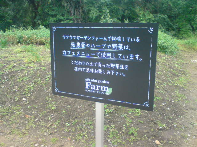 c0104445_23192025.jpg