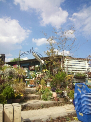 d0314745_15404997.jpg
