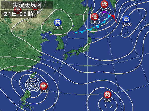 うさぎが台湾に？_a0087146_1033522.jpg