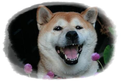 9月もあとわずか_c0049950_2238998.jpg