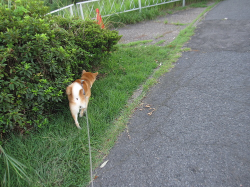 f0245650_982588.jpg