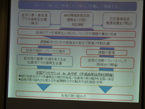 アマモ勉強会　　in　　せんなん里海公園潮騒ビバレー多目的ホール_c0108460_2333712.jpg