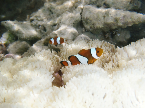 c0180460_4195792.jpg
