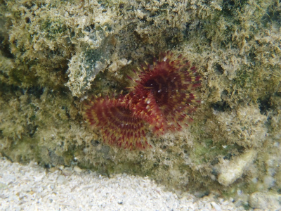 c0180460_54351.jpg