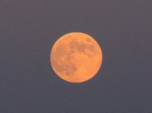 f0297861_8295873.jpg