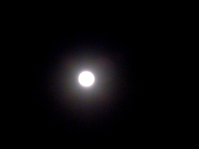 d0105967_18473347.jpg