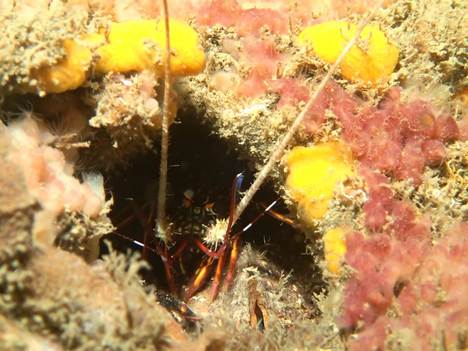 三浦半島2013⑩_b0287468_23551483.jpg