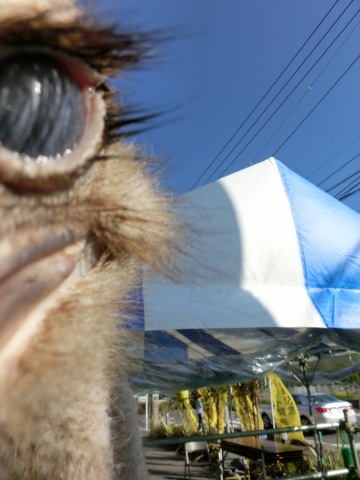 e0045768_2155644.jpg