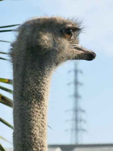 e0045768_21571741.jpg