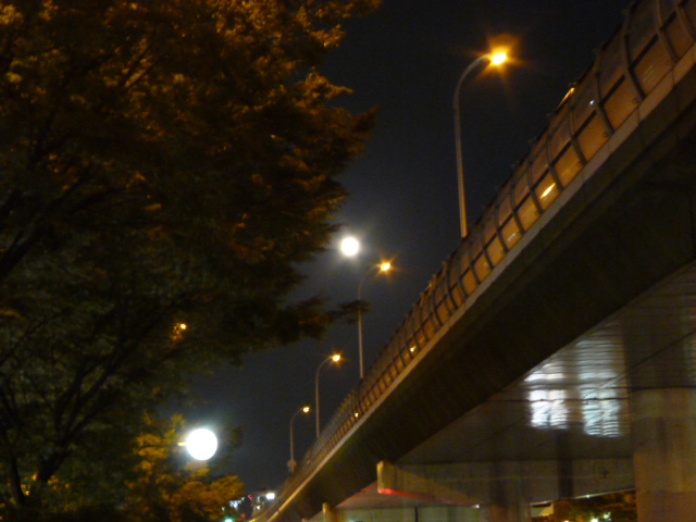 f0200477_4214595.jpg
