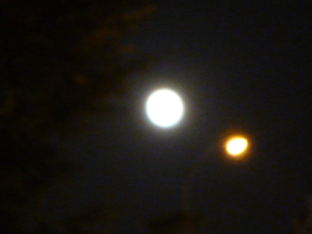 f0200477_422996.jpg