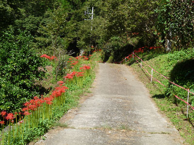c0152779_13374921.jpg