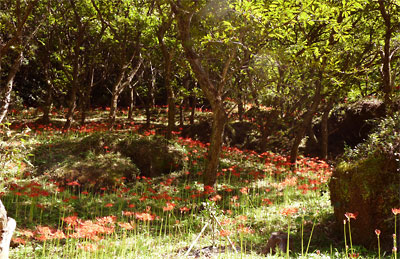 c0152779_13544364.jpg