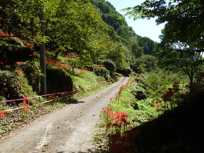 c0152779_13552343.jpg