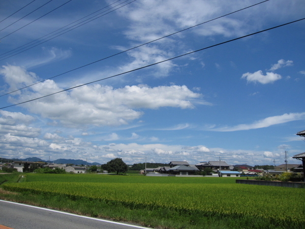 f0182784_15252924.jpg