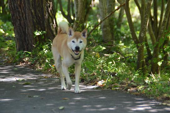 ハイジの里　9月17日②_c0123890_21115856.jpg