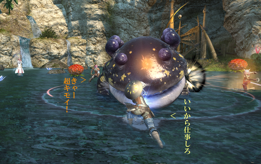 b0296791_1943413.png