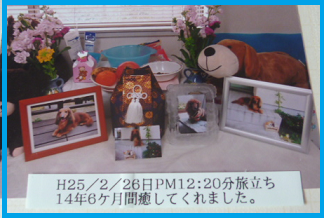 d0282395_1019278.png