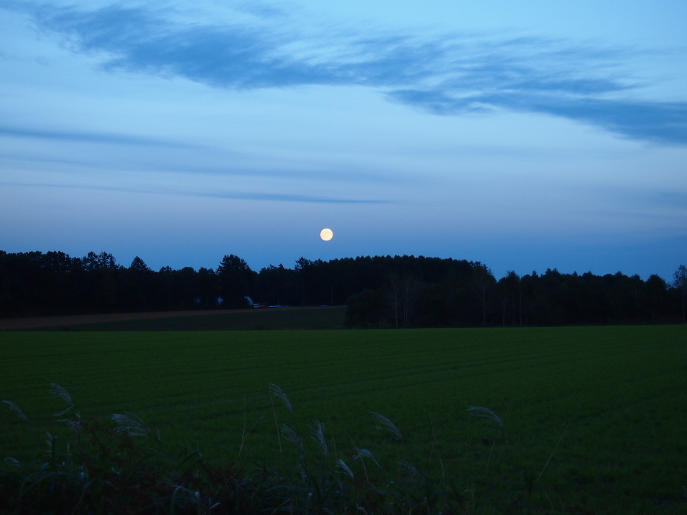 f0276498_17184540.jpg