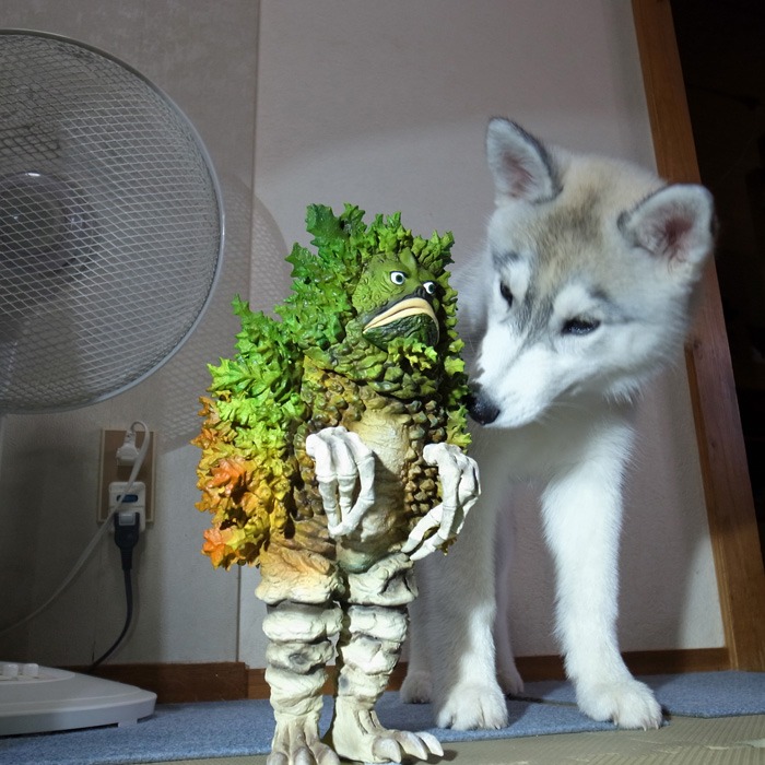 子犬　雨の日つまらーん！_c0049299_1525824.jpg