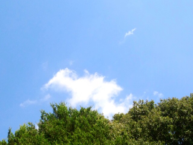 秋晴れ♪_c0140599_11461664.jpg