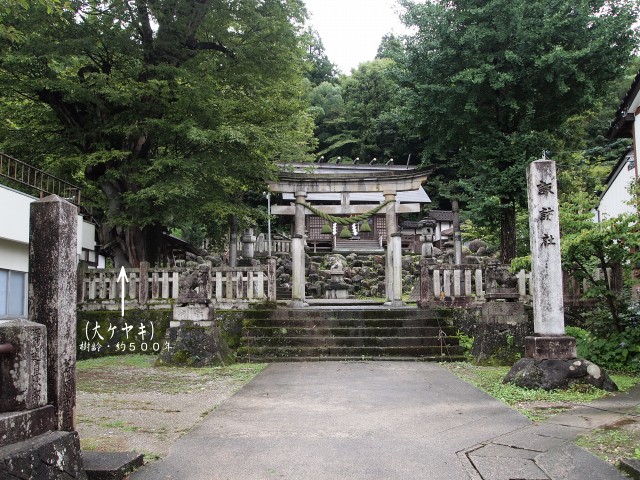 【　おわら風の盆　】　　町流し　　『諏訪町の町内流し』_e0039703_14435141.jpg