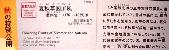 酒井抱一《秋夏草図屏風》・《四季花鳥図巻》など　＠東京国立博物館_b0044404_21334160.jpg
