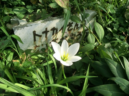 c0156104_21543956.jpg