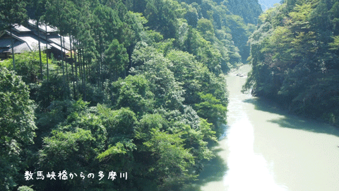 c0051105_048666.gif