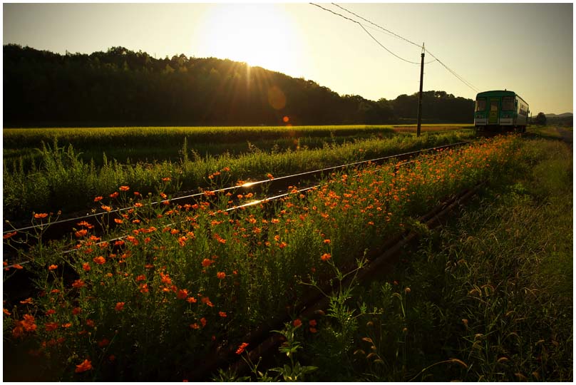 北条鉄道は続くよ_d0272207_2073520.jpg