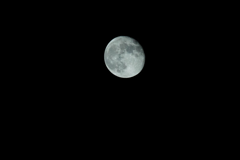 a0278914_516226.jpg