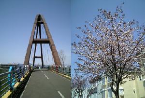 e0126914_11352397.jpg