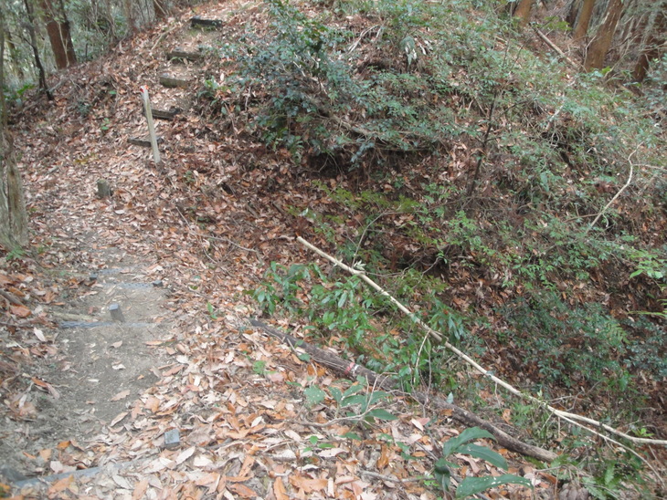 b0291016_21381064.jpg