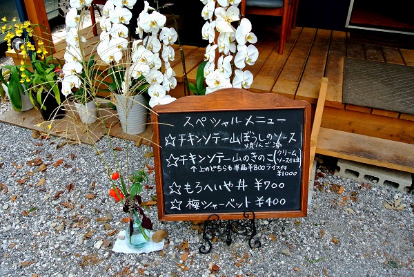 a0096417_17323665.jpg