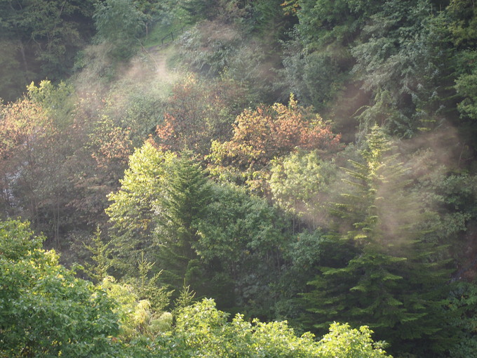 d0183417_2330576.jpg