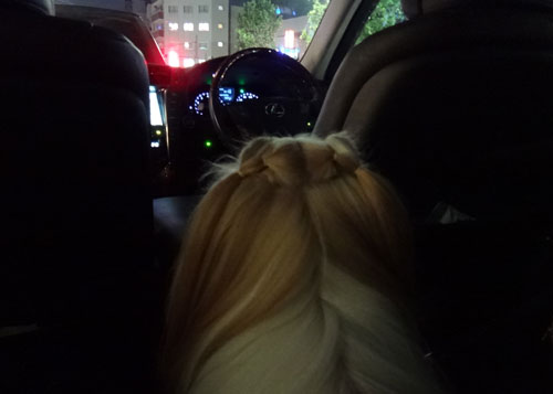 c0028424_2210533.jpg