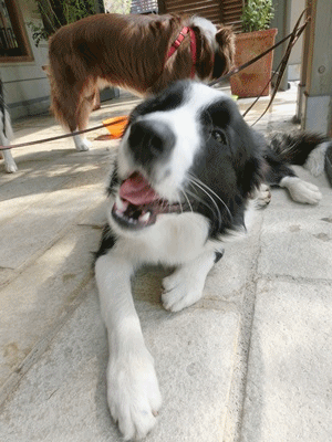 b0279527_2248771.gif