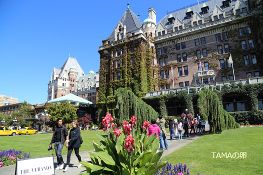 c0024729_16163887.jpg