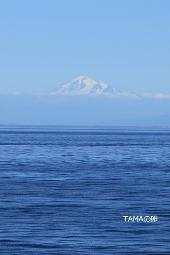 c0024729_16175891.jpg