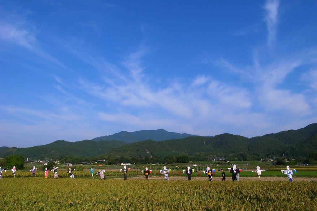 北嵯峨にて_f0264029_102079.jpg