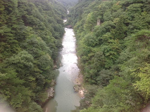 新蕎麦前だけど・・・_f0031037_19355944.jpg