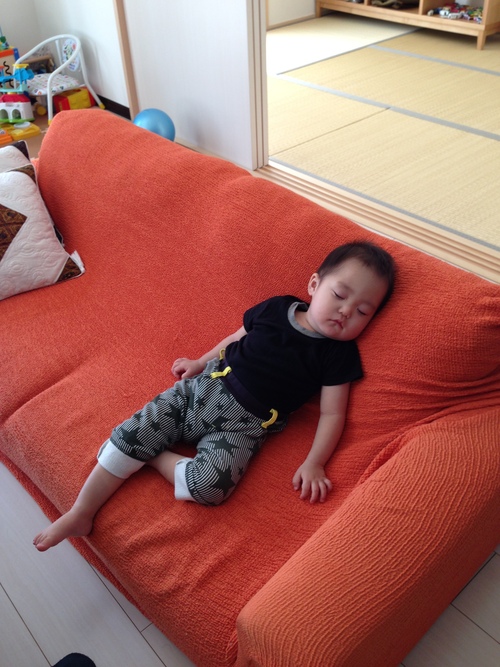 一日の流れ_a0267942_2205858.jpg