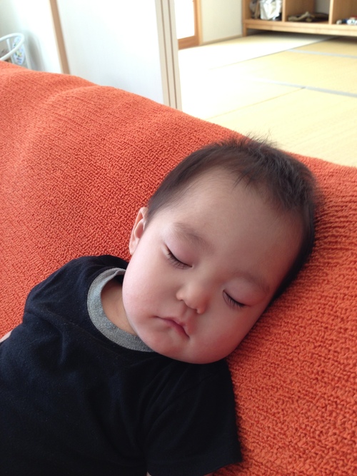 一日の流れ_a0267942_2211224.jpg