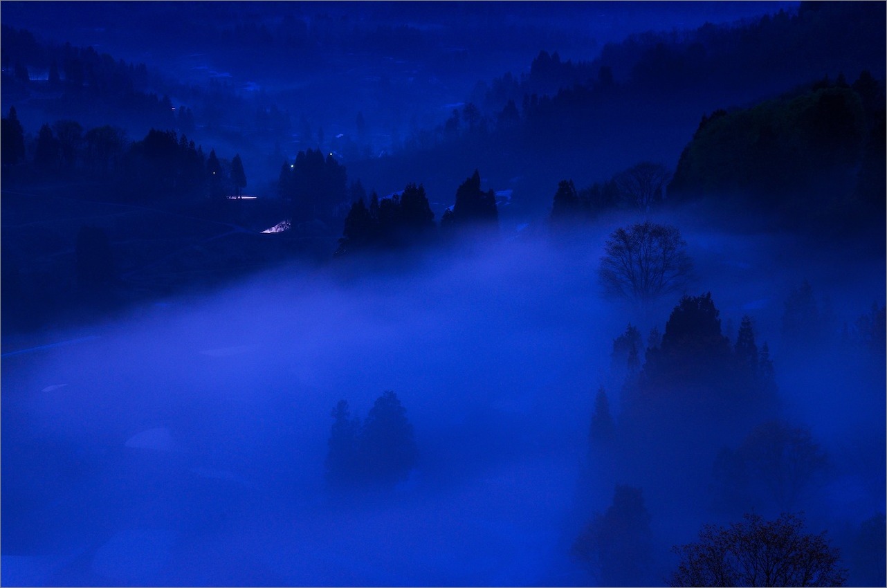 d0058445_9565978.jpg