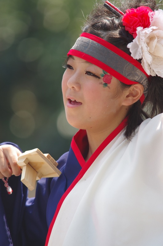 高知よさこい２０１３祭本番二日目その６（まいや）_a0009554_10513781.jpg