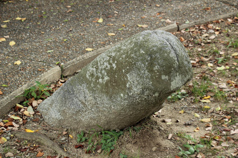 c0272958_162808.jpg