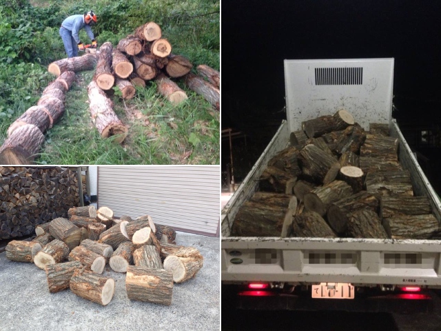 切ってから数年経った古い薪木・薪 切ってから数年経った古い薪木・薪