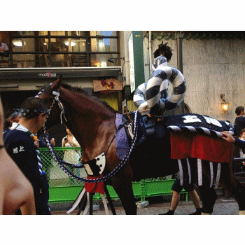 e0145364_1125473.gif