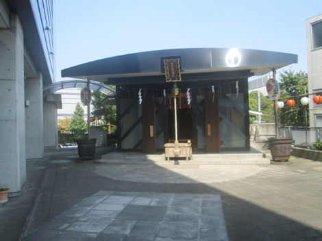 d0183174_8281944.jpg