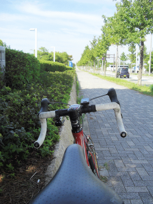 c0095679_1513720.gif